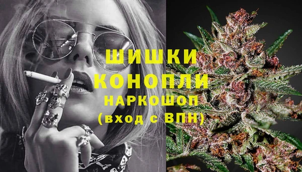 стафф Белокуриха