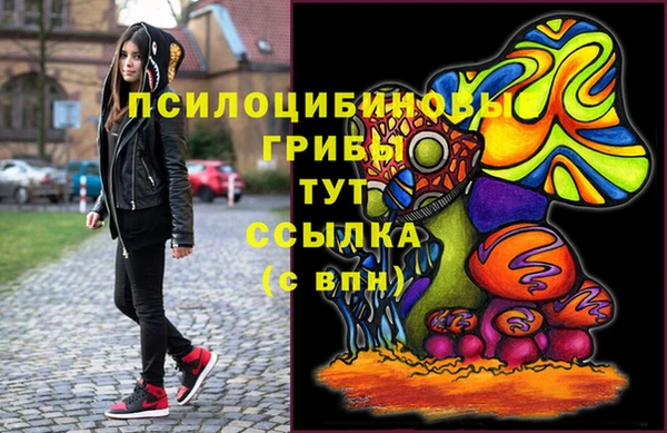 стафф Белокуриха