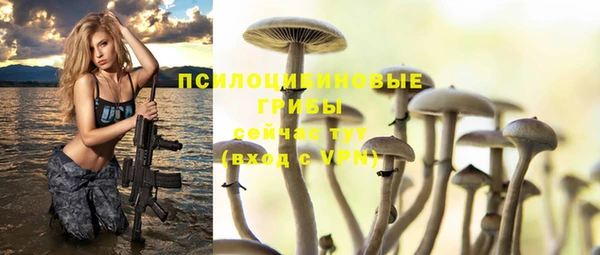стафф Белокуриха