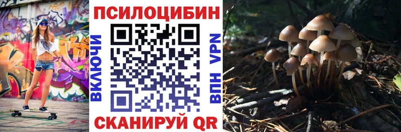 Псилоцибиновые грибы MAGIC MUSHROOMS  купить наркотики сайты  KRAKEN как зайти  Купино 